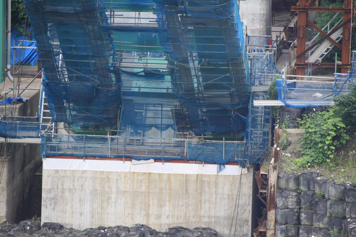 ラオス アーチ型建築 カーブする柱梁が枝のように広がる木造建築、ヘニング・ラーセン